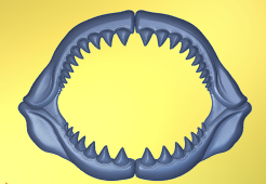 Jaw | CNC File for Carveco 3D Relief
