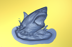 Shark1 | CNC File for Carveco 3D Relief